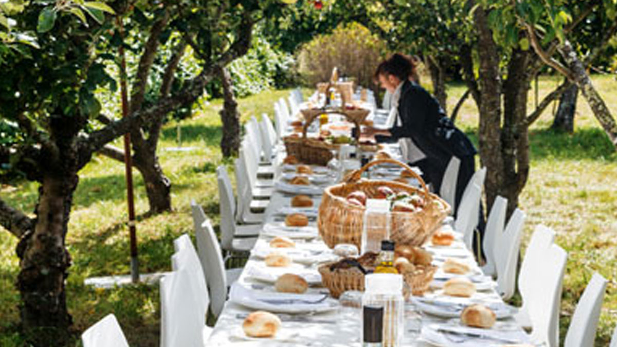 A LUNCH IN THE ORCHARD