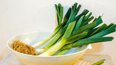 THE HUMBLE LEEK