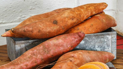 KUMARA DELIGHTS