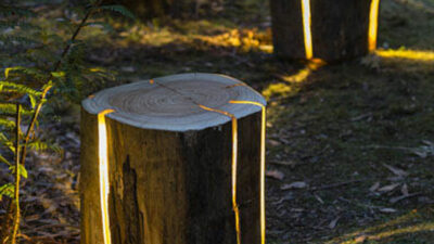 LIGHTING AND DESIGN