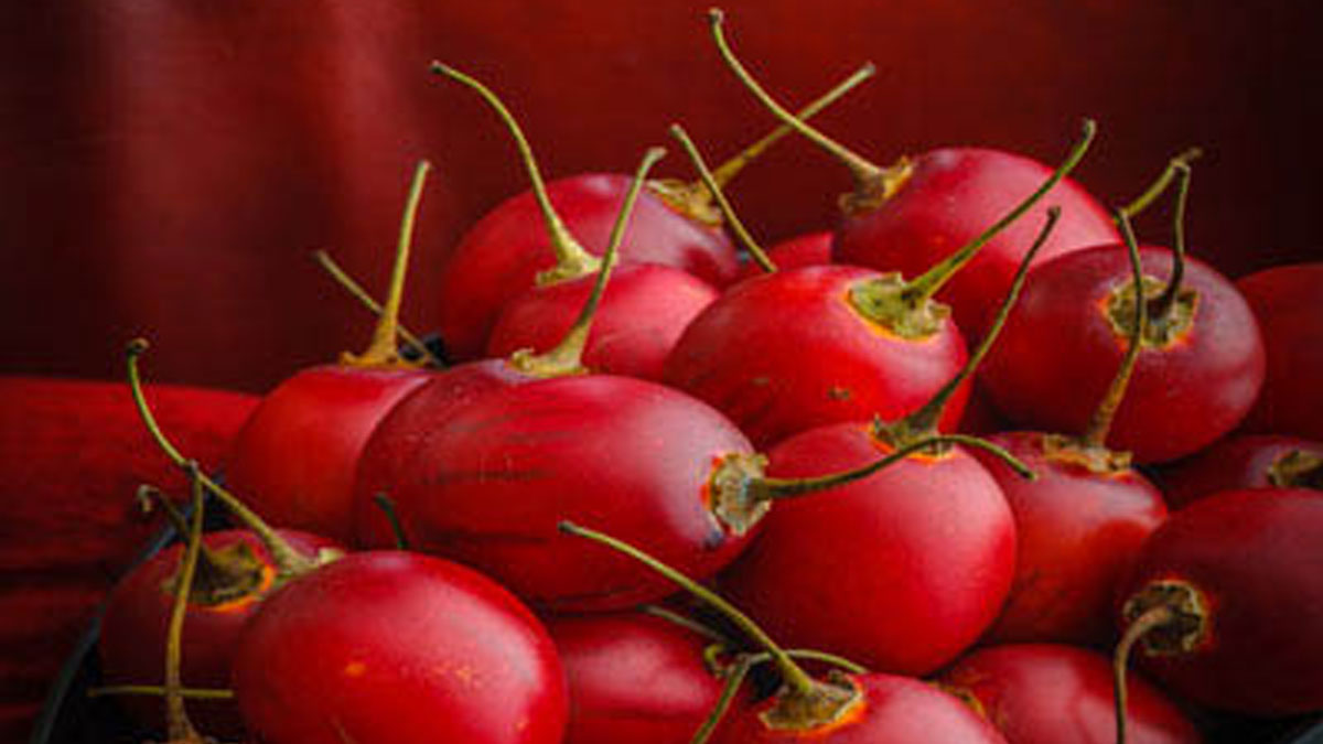 TASTY TAMARILLO RECIPES