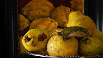 QUINCE RECIPES