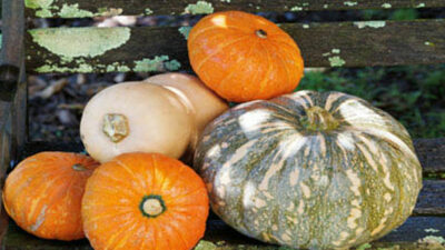 PUMPKIN RECIPES