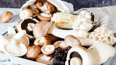 MUSHROOM RECIPES