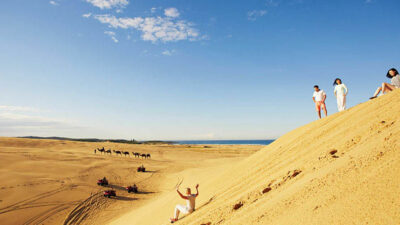 NSW COAST AND COUNTRY
