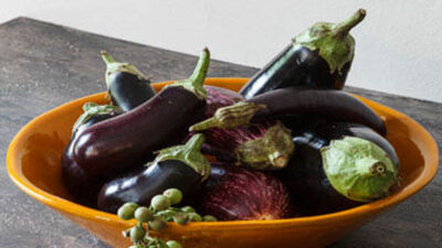 EGGPLANT RECIPES
