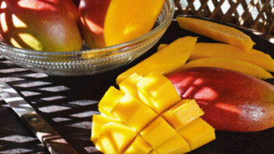 MANGO RECIPES