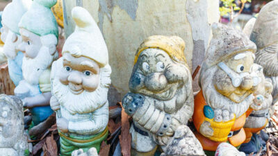 GARDEN GNOMES AUSTRAL