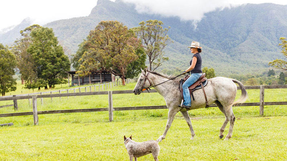 COWGIRL LIFE ON THE FARM