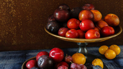 PLUM RECIPES