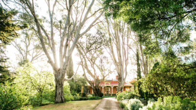 Magic In Forest Hall