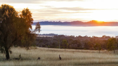 Meandering through Mudgee