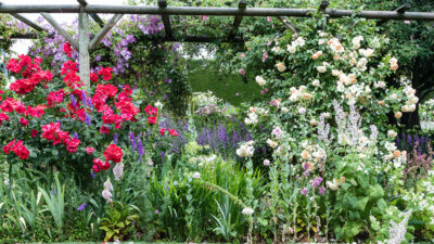 pleasing-prospect-cover