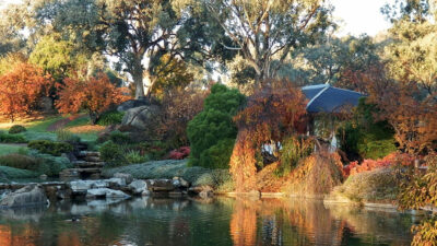 Cowra’s Japanese Garden