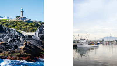 Gulaga - Mount Dromedary