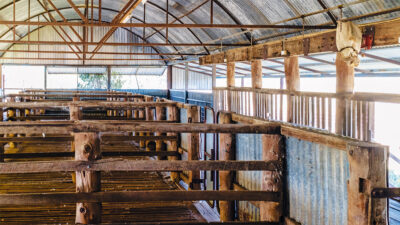 Barcaldine Tag Along Tours- Dunraven Station