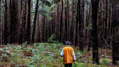Guided Mushrooming Tours with Detour Adventures