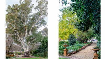 Wangaratta Victoria