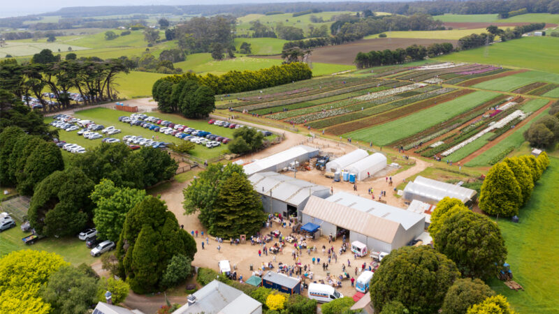 Peony Farm