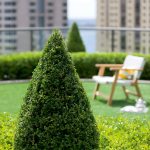 The ultimate roof garden guide