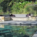 PSD041_A Total Concept_4