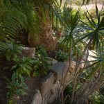 PSSC20 ÔÇö Urban Escape 010