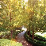 A Total Concept garden driveway