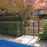 A Total Concept garden autumn