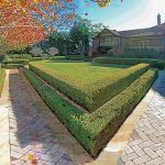 A Total Concept hedge and garden