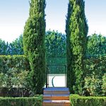 A Total Concept garden hedge