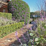 A Total Concept garden path design