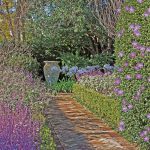 A Total Concept garden path