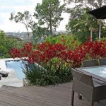 This is living: relaxing poolside cabana