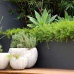 Contemporary landscaped spaces