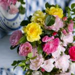 These fresh flowers work well within the garden