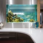 Sleek and stylish aquarium splashback