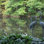 How to bring birds & butterflies into your garden