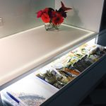 Kitchen idea: Luminous and elegant