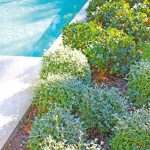 Sydney splendour: Traditional gem