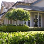 One-stop-shop for your gardening and landscape needs