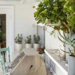 sitedesign_outdoor rooms 7