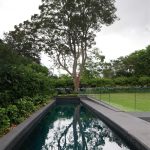 Bushland pool design