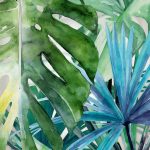 UrbanRoad_1003110_PalmCanyon