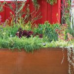 Perfect garden lines