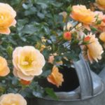 AnthonyTesslaar_FEATUREDImage