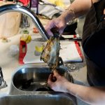 InSinkErator_16.7.15_80