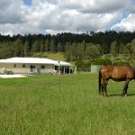 Building your dream home made easy