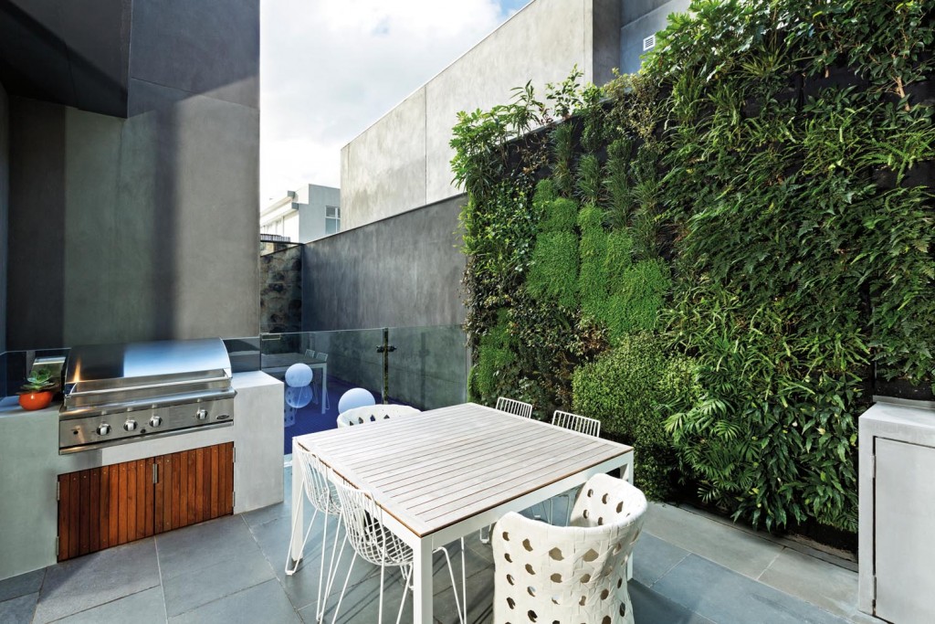 Compact_David Franklin_6918