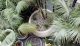 MartinKellock_PotRange_FEATUREDImage