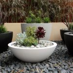 martin kellock hero-2015081714397790987693